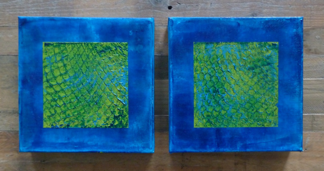 Python 1 and 2 Medium